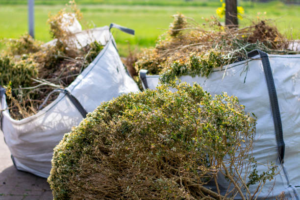 Best Yard Waste Removal  in Southfield, MI